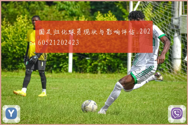 国足归化球员现状与影响评估_20260521202423