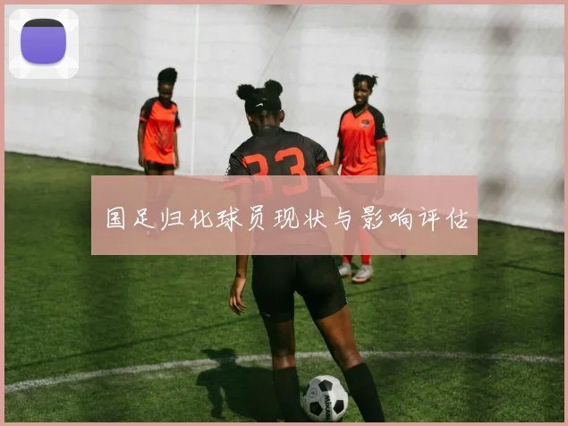 国足归化球员现状与影响评估